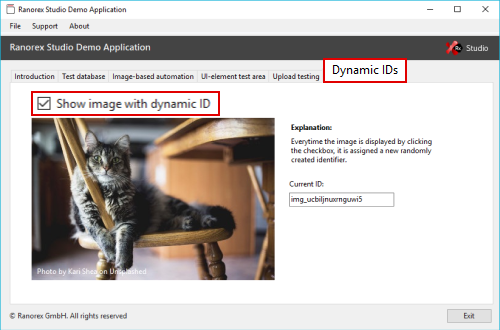 dynamic_ids.png