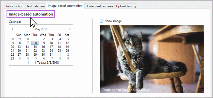 Selecting image-based validation element